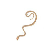 New Snake-shaped Earrings main image 6