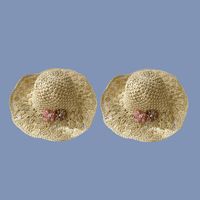 Summer New Style Two-flower Straw Hat main image 1
