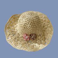 Summer New Style Two-flower Straw Hat sku image 1