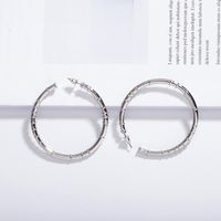 New Trendy Fashion Exaggerated Circle Earrings main image 4