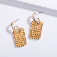 Simple Exaggerated New Fashion Earrings main image 1
