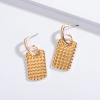 Simple Exaggerated New Fashion Earrings main image 5