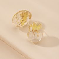 Dried Flower Fashion Transparent Earrings main image 4