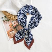 Women's Simple Style Commute Color Block Polyester Printing Silk Scarf sku image 3