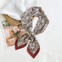 Women's Simple Style Commute Color Block Polyester Printing Silk Scarf sku image 8