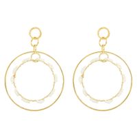 Fashion Double Circle Earrings Wholesale main image 6