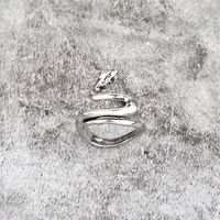 Retro Verdrehter Schlangenförmiger Ring sku image 7