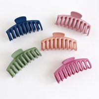 Classic Frosted Color Hair Clip main image 2