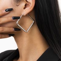 Einfacher Stil Geometrisch Überzug Eisen Keine Intarsien Ohrringe main image 5