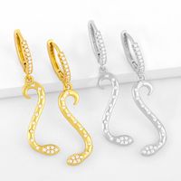 Simple Snake Pendant Inlaid Zircon Earrings main image 1