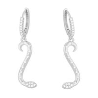 Simple Snake Pendant Inlaid Zircon Earrings main image 4