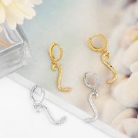Simple Snake Pendant Inlaid Zircon Earrings main image 5