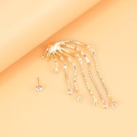 Fashion Asymmetrical Alloy Tassel Earrings main image 3