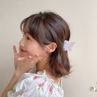 Épingle À Cheveux En Acrylique Papillon Rétro Coréen main image 5