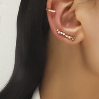 Wholesale Jewelry Fashion Geometric Alloy No Inlaid Plating Earrings sku image 6