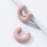Wholesale Resin Acrylic Earrings Set main image 4