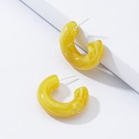 Wholesale Resin Acrylic Earrings Set sku image 2