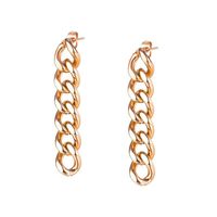 Simple Stainless Steel Chain Earrings Wholesale main image 1