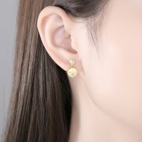 Retro Diamond Round Silver Earrings Wholesale main image 3