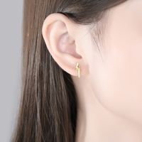 Simple Long Streamlined S925 Silver Earrings Wholesale main image 3