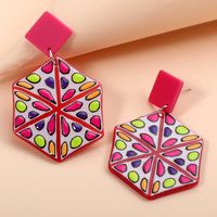 Acrylic Geometric Pink Pendant Earrings main image 3