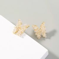 Boucles D&#39;oreilles Papillon En Perles De Cristal Transparentes main image 3