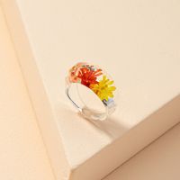 Fashion Dried Flower Ring main image 1