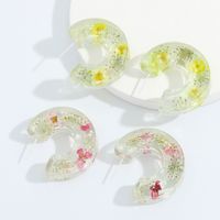 Retro Resin Inlaid Dried Flower Earrings main image 3