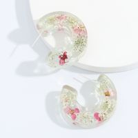 Retro Resin Inlaid Dried Flower Earrings main image 5