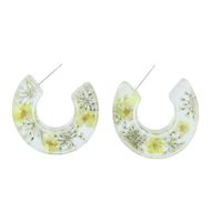 Retro Resin Inlaid Dried Flower Earrings sku image 1