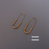 Simple Long Brooch Earrings main image 6