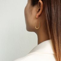 Simple Long Brooch Earrings main image 5
