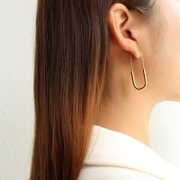Simple Long Brooch Earrings main image 4
