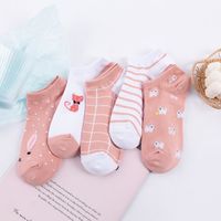 New Combed Cotton Animal Women's Socks Set main image 1