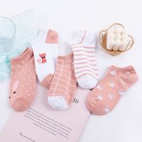 New Combed Cotton Animal Women's Socks Set main image 5