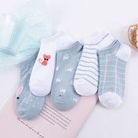 New Combed Cotton Animal Women's Socks Set main image 4
