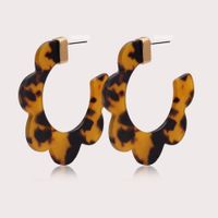 Boucles D&#39;oreilles En Acrylique En Forme De Pétale De Mode main image 6