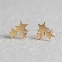 Mode Star Acier Inoxydable Pas D'incrustation Des Boucles D'oreilles Boucles D'oreilles sku image 2