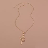 Retro Single-layer Snake-shaped Winding Necklace main image 5
