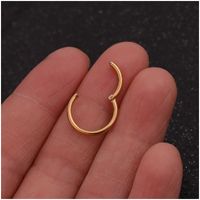 Nose Rings & Studs Simple Style Geometric 316 Stainless Steel  Plating main image 6