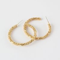 Simple Hoop Exaggerated Earrings main image 4