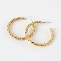 Simple Hoop Exaggerated Earrings main image 5