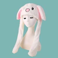 Korean Long-eared Rabbit Knitted Hat sku image 1