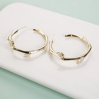 Simple Style Fashion Bamboo Joint Diamond Circle Earrings main image 1