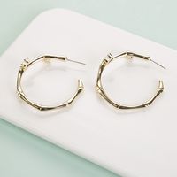 Simple Style Fashion Bamboo Joint Diamond Circle Earrings main image 3