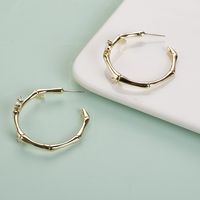 Simple Style Fashion Bamboo Joint Diamond Circle Earrings main image 4