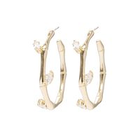 Simple Style Fashion Bamboo Joint Diamond Circle Earrings main image 6