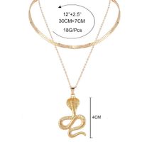 Mode Schlangenförmige Doppelschichtige Legierung Halskette Großhandel main image 6