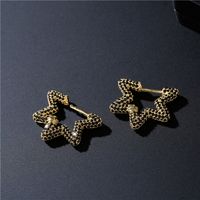 Fashion New Style Copper Micro-inlaid Earrings main image 5