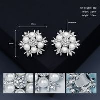 Accesorios Nupciales Hebilla De Zapato De Perlas De Diamantes De Imitación De Aleación Extraíble sku image 1